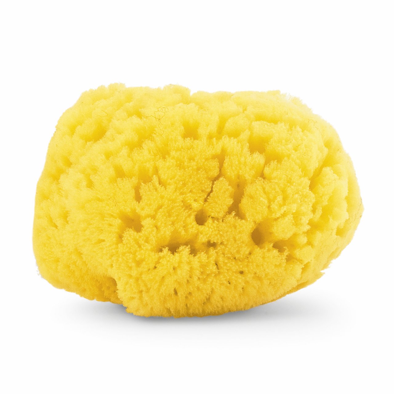 Spugna marina naturale Chicco om+