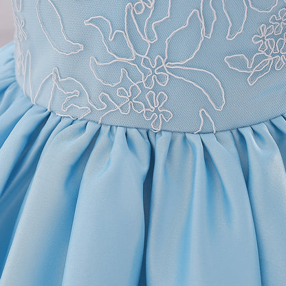 Abito Elegante Azzurro per Bambina con Maniche a Palloncino e Ricami
