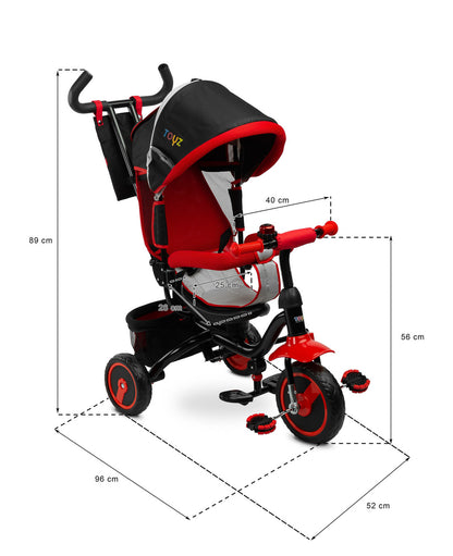 Triciclo Fronte-Strada/Fronte-Mamma